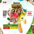 Roots and Vibes: Abeeka Band Brings Reggae Energy to Ndere